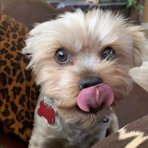 Meet your Posher, Michelle